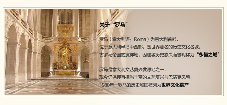 
                                        凡米特 欧式布艺沙发套全盖沙发罩奢华风沙发巾盖布时尚花【货到付款】 欧若拉 110*160cm                