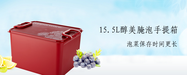 特百惠 Tupperware 15.5L醇美腌泡箱