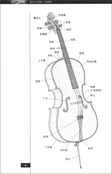 音乐小百科:大提琴430yy