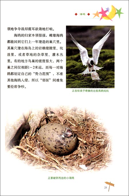 京东触屏版