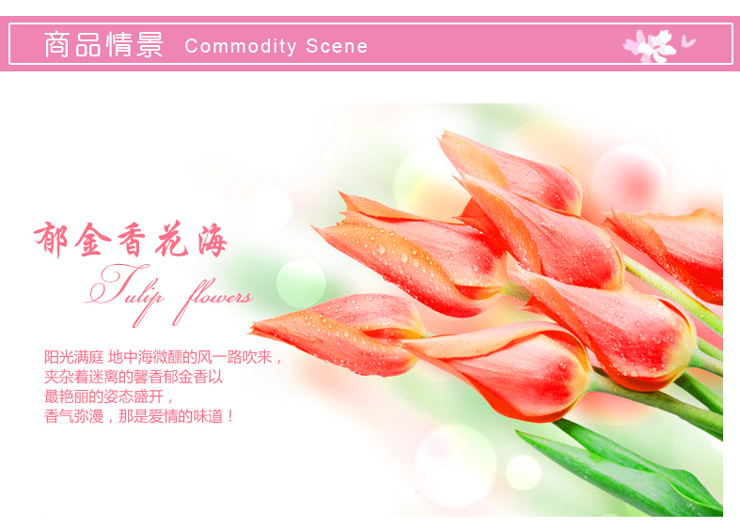 
                                        沐坤 墙贴画客厅墙贴纸壁纸贴纸 郁金香 AY9109                