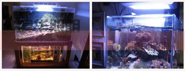 宸华照明LED鱼缸灯 大功率led水族灯照明 77*3 装饰灯 KW-SZ98*3W