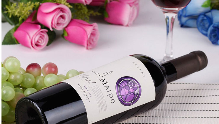 智利红酒 原装进口红葡萄酒 迈坡传承系列葡萄