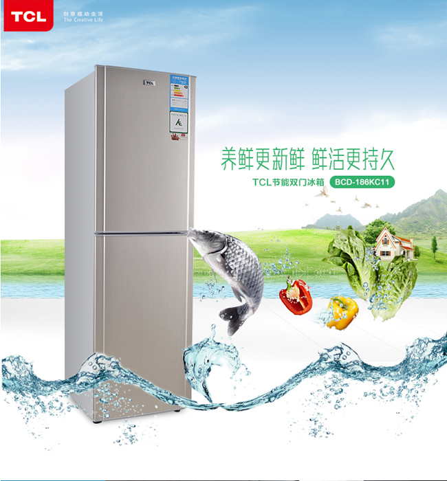 -186KC11拉丝金 两门高效节能实用家居冰箱在