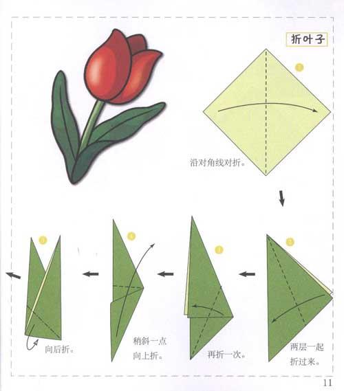 第一次学折纸.美丽自然 韩国白石出版社编辑部 少儿 书籍