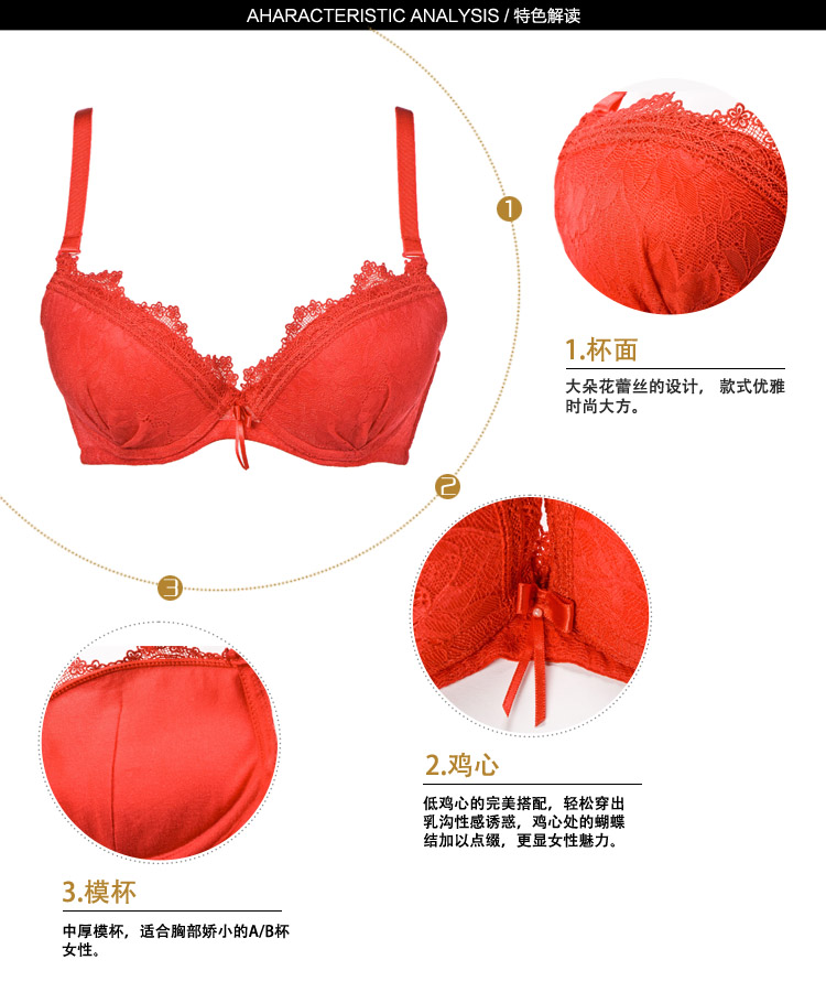 ALDOLA雅黛丽<em>3/4号</em>厚模杯U型蕾丝边聚拢收