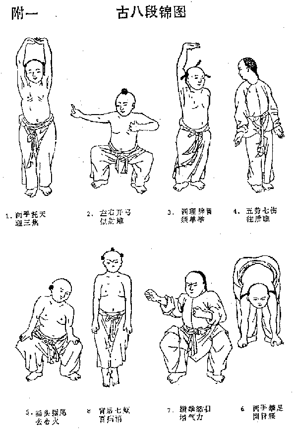 健身气功八段锦五禽戏六字诀易筋经 3dvd老年健身操教学光盘