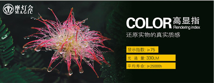 摩灯会 LED蜡烛灯5W光源螺口E14尖泡 室内拉尾灯泡 超亮LED节能灯LED灯泡 5w拉尾 银色 E14