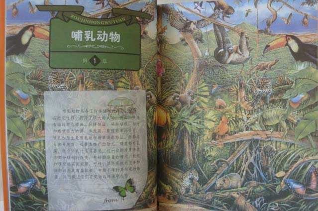 的百科王国(全5册)小学彩图宇宙探索 宇宙探秘 昆虫王国 走进动物园