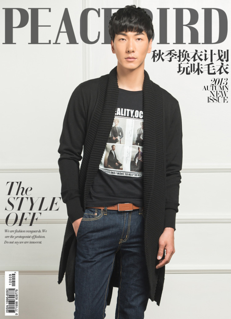 太平鸟男装2013秋装新款 男士长款毛衫针织衫