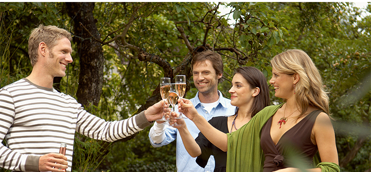 德国DEINHARD丹赫桃红起泡酒 德国原瓶进口