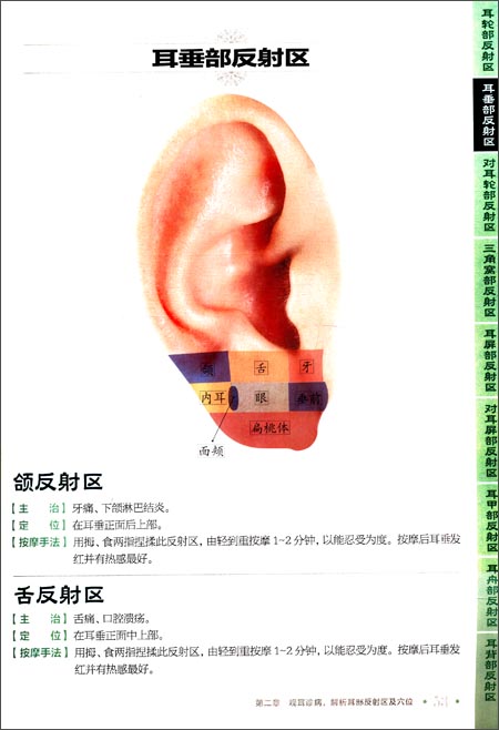 第二章 观耳诊病,解析耳部反射区及穴位