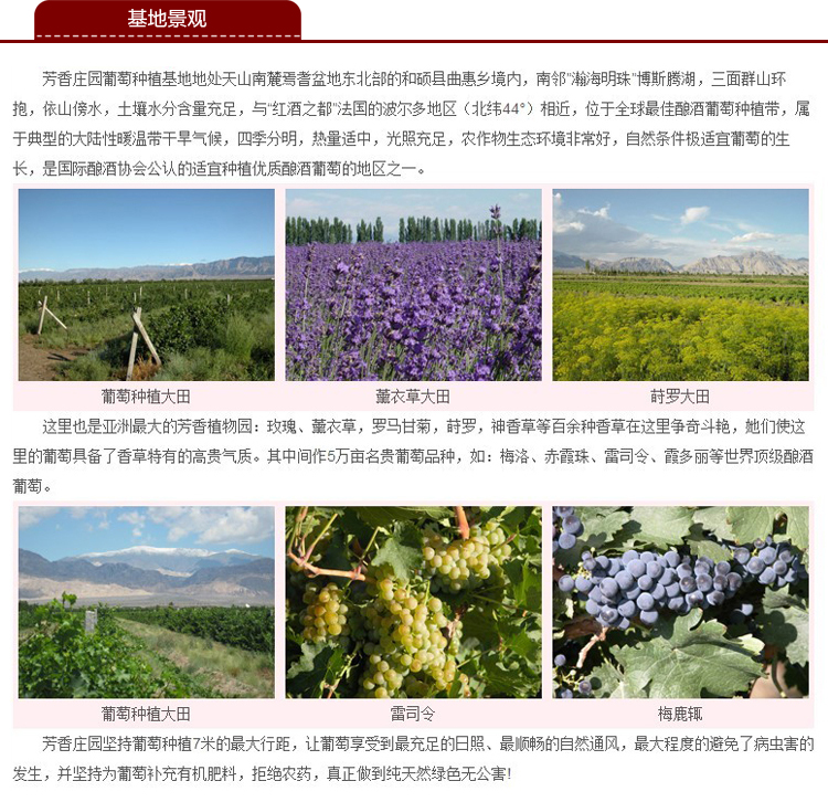 芳香庄园赤霞珠干红葡萄酒 窖藏优选级红酒