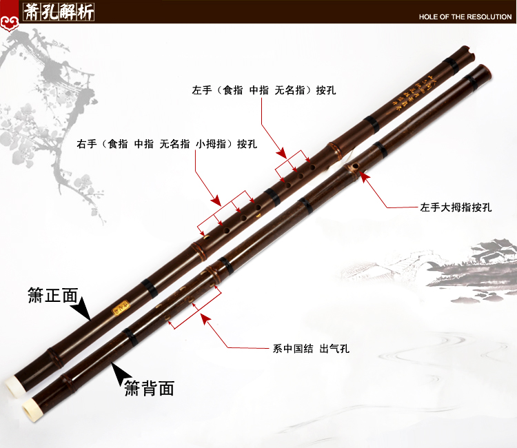 海之韵 萧初学单节8孔箫乐器 紫竹洞萧洞箫 八孔洞箫笛【 赠品】传统