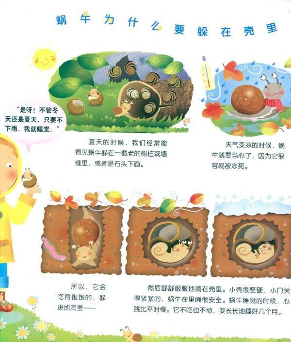 小蜗牛成长记/来自法国的动物宝宝成长记