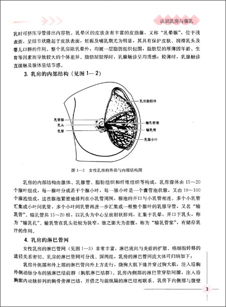 上部的淋巴管有吻合,也可穿过腹壁与膈下间隙,肝等的淋巴管吻合.