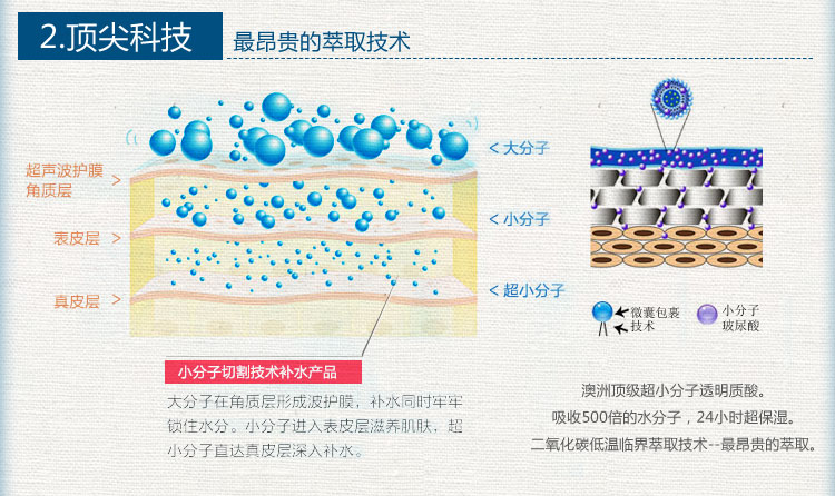 【全网比价】蝶芙兰小分子原液正品 补水保湿