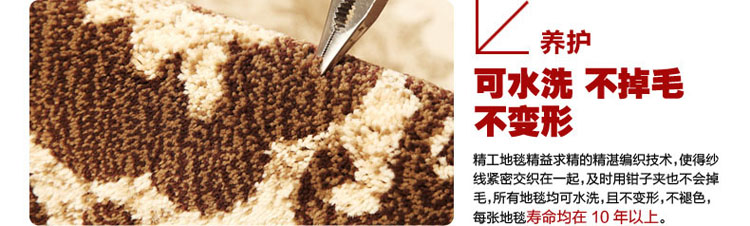 精工 时尚现代简约客厅沙发茶几地毯  卧室床边毯 门厅地垫 进门脚垫 梦幻之都6634b 200*290cm