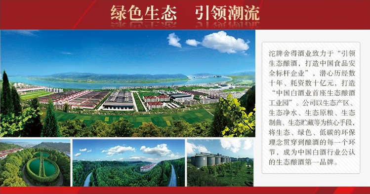 【舍得酒38度 500ml智慧人生 感悟舍得 超值之