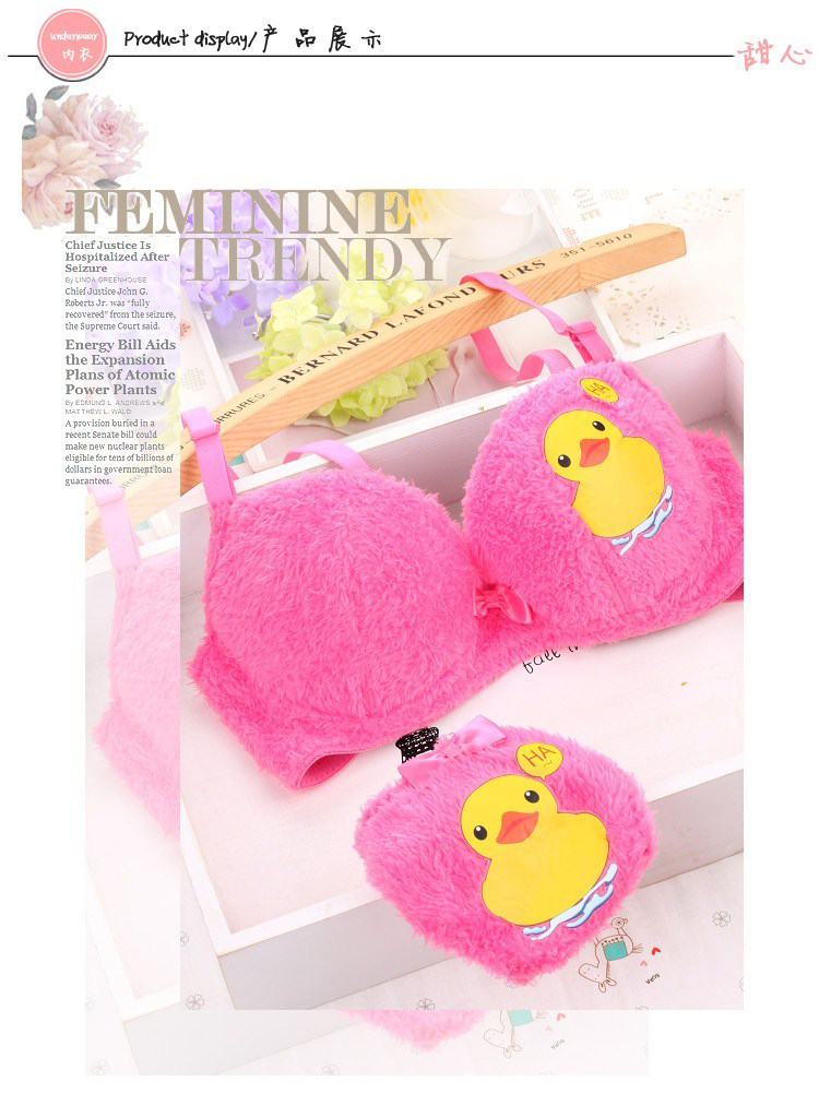 <em>货到付款</em>Saran少女内衣 秋冬款全棉毛绒<em>加厚</em>学