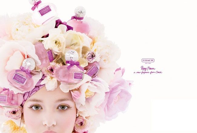 Poppyflower,Poppyflower 美国著名品牌coach蔻驰在2011年秋冬推出最新款poppy flower!