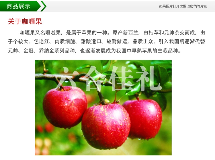 六合佳礼特选美国咖喱果1500g(京东自营配送