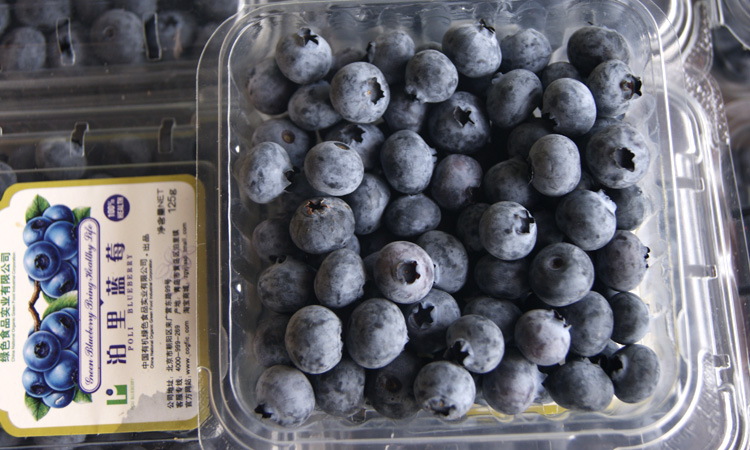 百宝源 山东青岛蓝莓 蓝莓鲜果 新鲜水果 125g