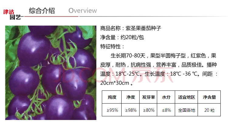 津沽园艺 蔬菜种子 小番茄 紫圣果 红珍珠樱桃番