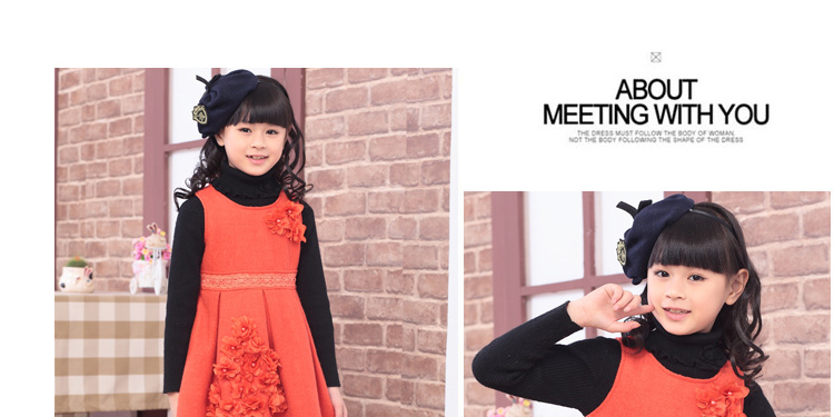 梵贝拉 年终热卖女童2014秋冬装连衣裙 韩版中
