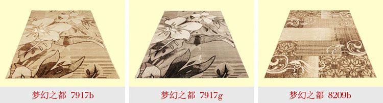精工 时尚现代简约客厅沙发茶几地毯  卧室床边毯 门厅地垫 进门脚垫 梦幻之都6634b 200*290cm