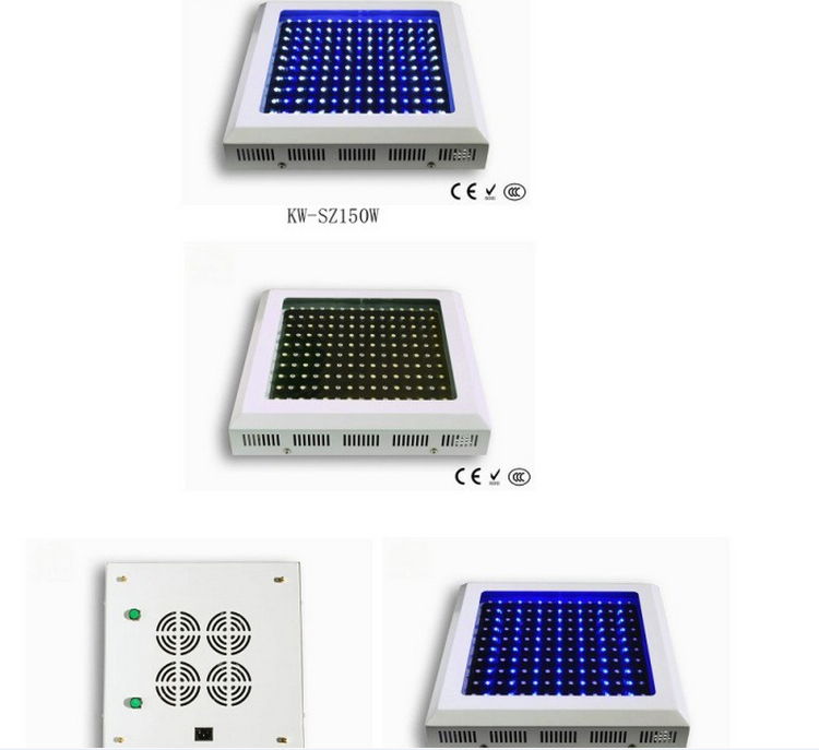 宸华照明LED鱼缸灯 大功率led水族灯照明 77*3 装饰灯 KW-SZ98*3W