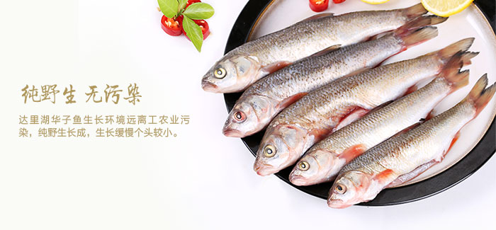 品名:                  预售-达里湖有机野生华子鱼
