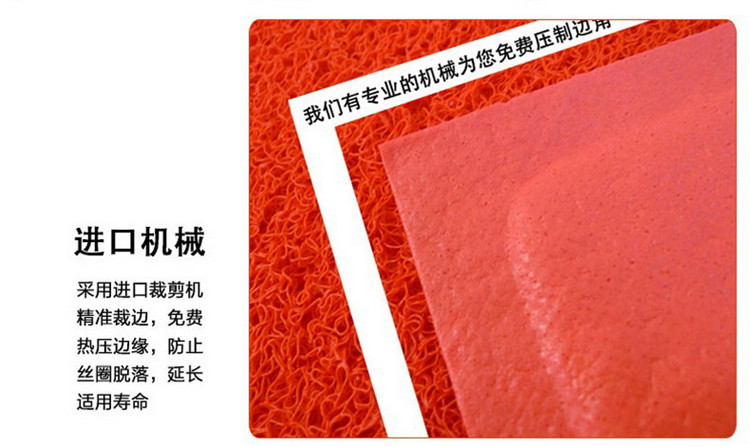 地毯先生 丝圈无字入户门垫地毯 拉丝防滑门垫 pvc喷丝地垫 灰色 120*180cm