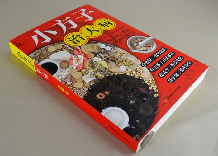 小方子治大病 中华偏方大全 秘方 家庭医生_图