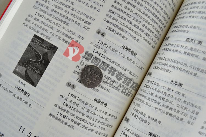 小方子治大病 中华偏方大全 秘方 家庭医生_图