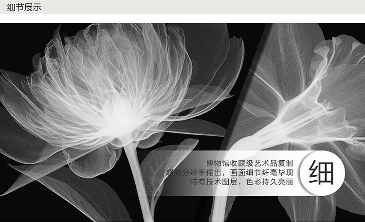 
                                        格丽油画装饰画 现代欧式壁画无框画客厅挂画餐厅沙发墙画有框画 轻纱薄花 轻舞薄纱系列-四联画 70*70cm                
