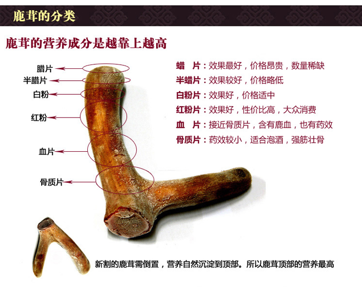 鹿茸片 滋补养生中药材泡酒 礼盒装 朗琨内蒙古特产 年货礼盒