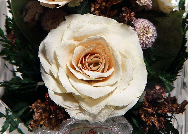 保鲜花玫瑰真花 进口泰国保鲜花 高档生日礼物