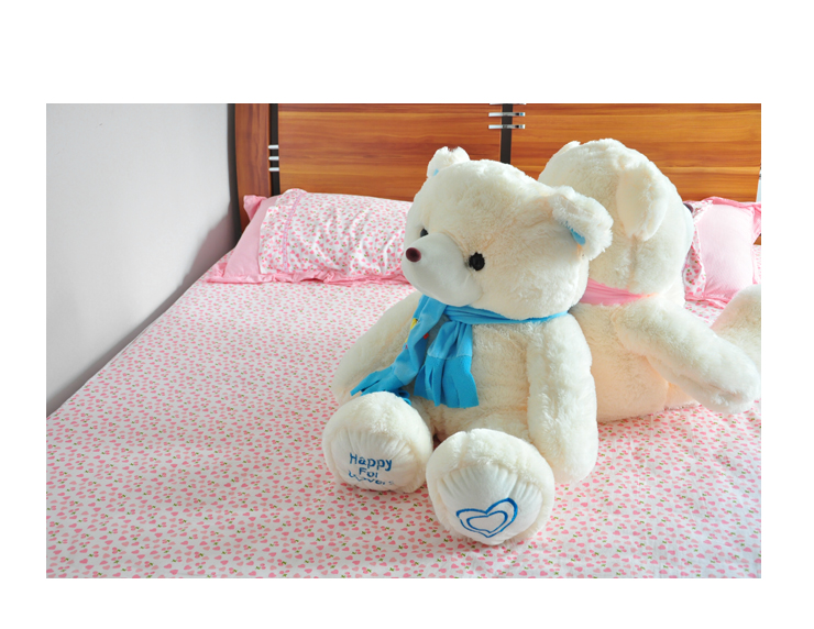 酷宝礼坊 毛绒玩具一对情侣围巾熊大号抱抱熊