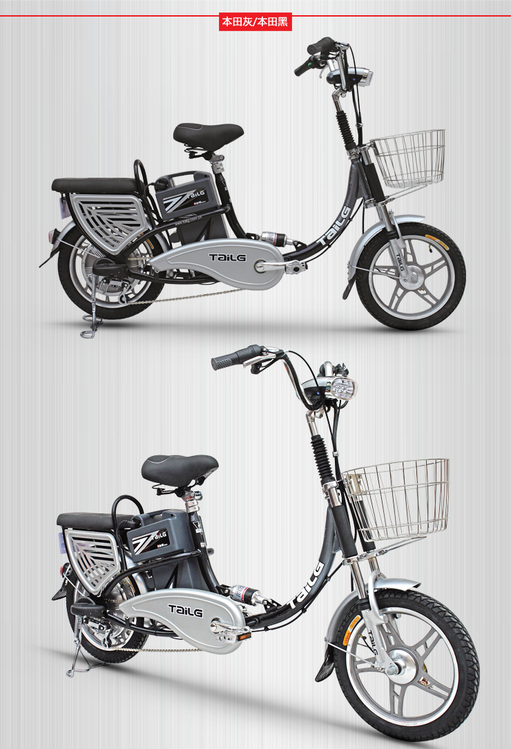 台铃 电动车 自主研发系列 48V12A骏铃 价格 -