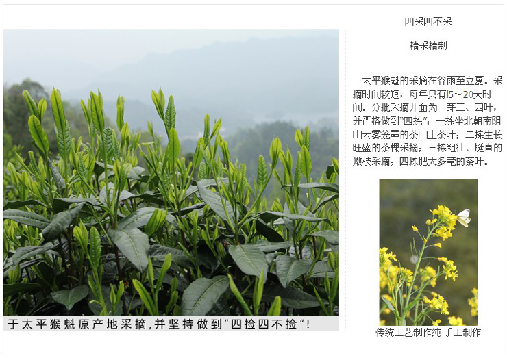 谢裕大 太平猴魁 礼盒 国礼 礼宾茶【国粹】20