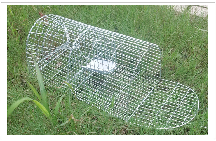 五花老鼠笼 连续捕鼠器 捕鼠笼 诱捕器 价格\/报