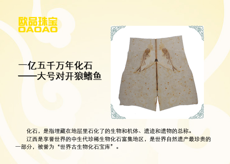 珠宝 一亿五千万年极品收藏 大号对开鱼化石 H