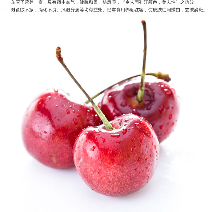 智利车厘子(约500g)在京东商城的价格走势