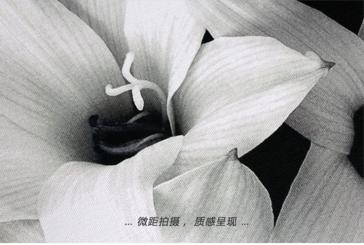 梵格 绽放 现代简约黑白客厅装饰画四联 沙发背