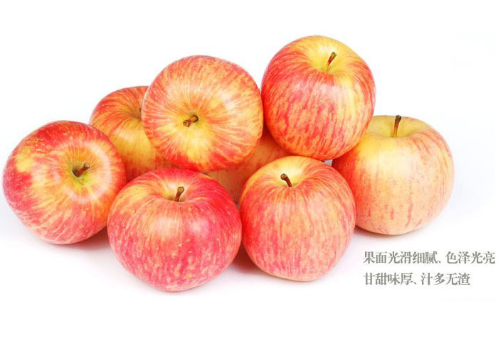 糖心红富士苹果5kg 价格\/糖心红富士苹果5kg产