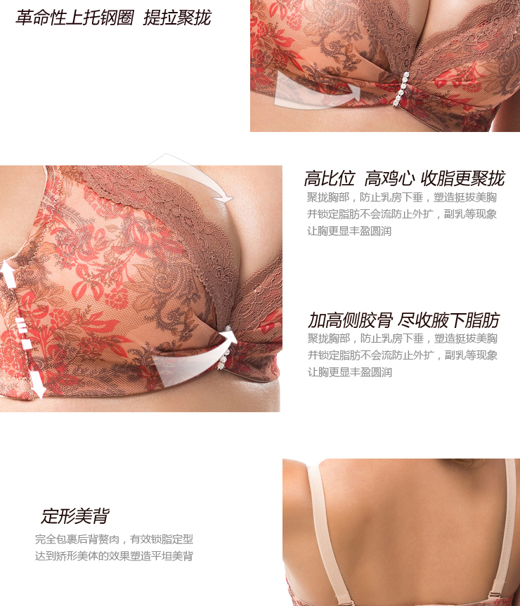 2012秋冬新款<em>馨雅丽</em>女士内衣 蕾丝<em>印花</em>聚拢 调