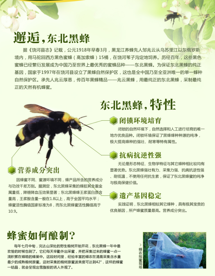 纯天然东北黑蜂雪蜜1100g 黑蜂椴树蜜 椴树雪