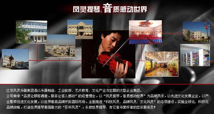 凤灵 MV012W 普及入门 实木小提琴 手工制作