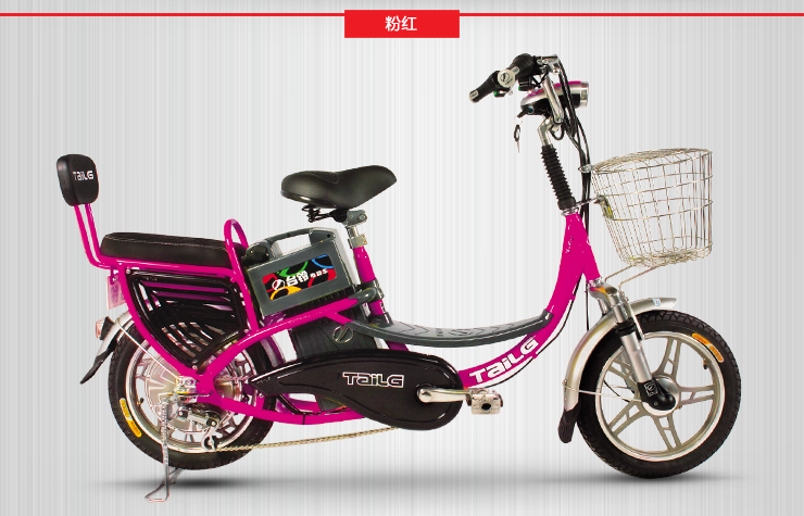 台铃 电动车 自主研发系列 48V12A骏铃 价格 -